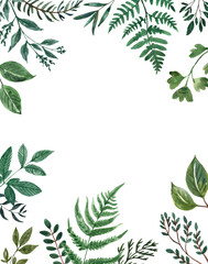 Watercolor greenery frame. Forest herbs, green leaves, lush foliage border. Beautiful floral background. Invitation or greeting card template.