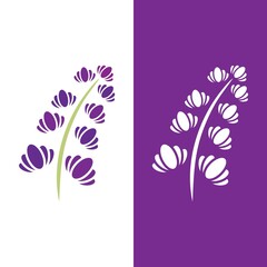 Fresh Lavender flower logo vector