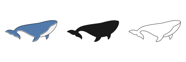 Whales animals collection. Sperm whales in different poses set. Group of ocean animals. Vector isolated on white.