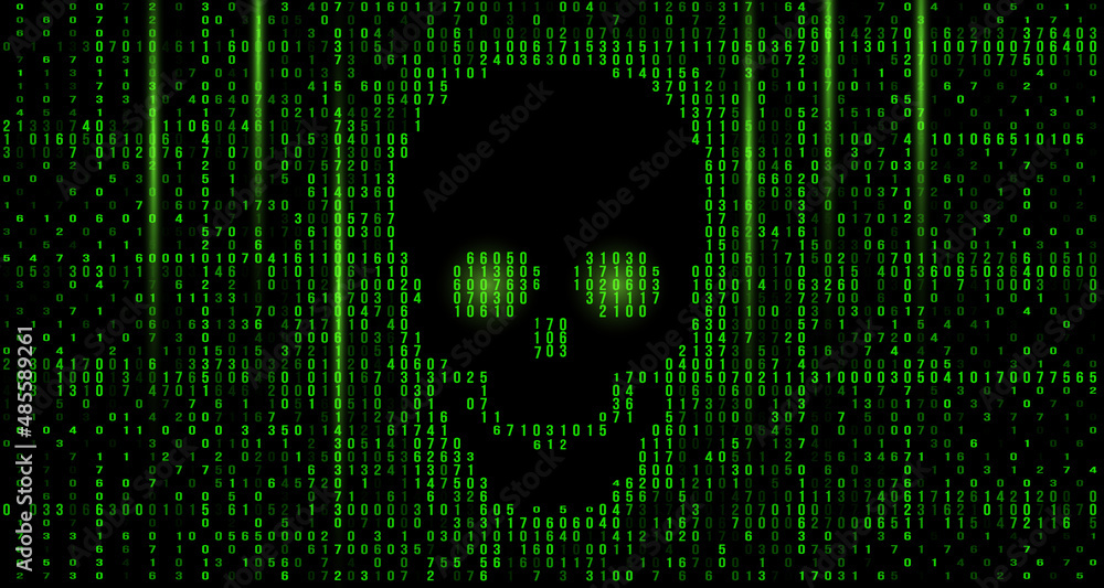 Poster skull in the digital matrix on the bcd stream on the screen. computer matrix numbers.