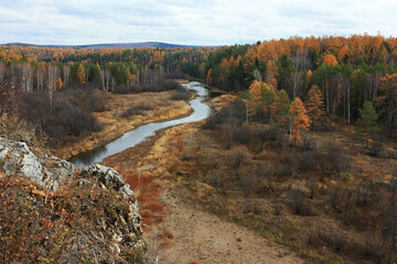 Trees grow on the banks of the river