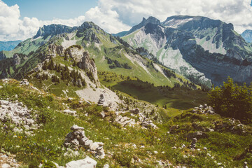 Fototapeta na wymiar Green fields on the Schynige Platte pleateau in the Alps mountains in Switzerland
