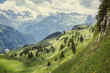 Fototapeta na wymiar Green hills on the Schynige Platte plateau in the Alps mountains in Switzerland in summer