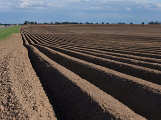 deep plowed land in spring