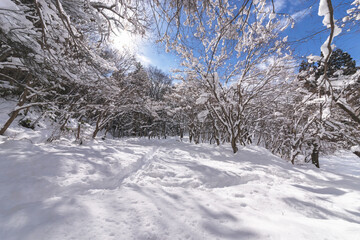 220207城山公園Ｓ064
