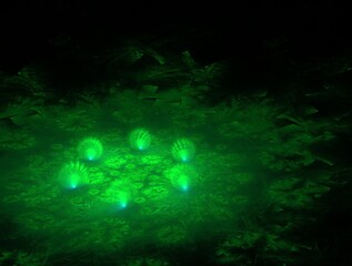 Imaginatory fractal abstract background Image