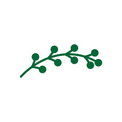 Plant ornament icon design template vector isolated