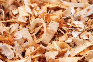 Woodworking wood shavings or wood curls