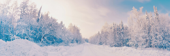 Beautiful landscape of winter forest. Panorama of the forest area with the road