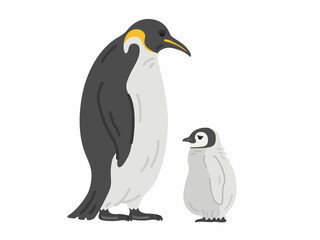 コウテイペンギンの親子のイラスト