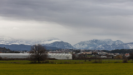 Fototapete bei efototapeten.de bestellen   