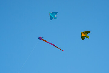 Colorful kite flying, soaring against a blue sky