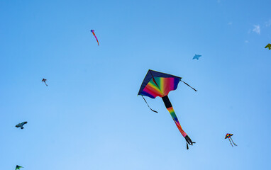 Colorful kite flying, soaring against a blue sky