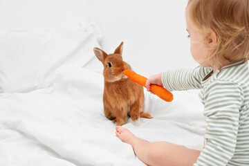 Cute happy blonde caucasian baby girl feeding decorative rabbit, bunny, pet with carrot on bed in white modern interior.Kid,child,toddler and animal relationship, friendshipCopy space