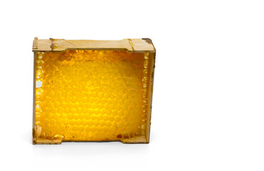 frame with bee honeycombs with fresh honey isolated on white background