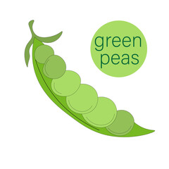 one half of an open pod of green peas without leaves. Green peas, vegetable pod for canned Vegetarian food. eco-friendly, organic farm product. rustic micro-greenery.