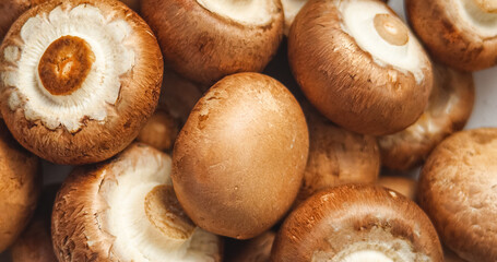 Top View Of Uncooked Fresh Raw Royal Champignon Mushrooms Close Up. Appetizing Brown Mushrooms Ready For Eating. Bowl with Edible Vegetables Cultivated Conception