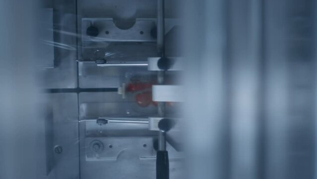 Closeup tomato packing line working process moving fresh redd vegetables boxes