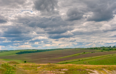 Green fields against the background of clouds in spring