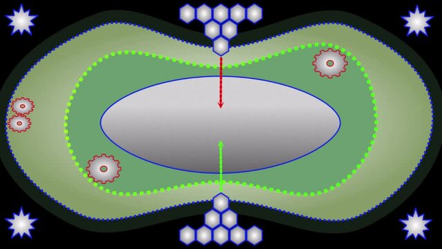 Animazione 2D con esagoni e frecce