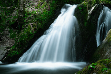 Fototapeta na wymiar Waterfall in a mystical forest
