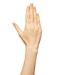 Elegant female palm or wrist isolated on white. Front view