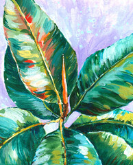 Painting tropical flower. Tropical leaves. Ficus.