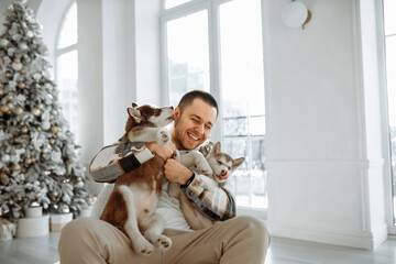 husky dog licks handsome dark haired brunette man dressed in warm colors plaid shirt cream pants. Guy sitting smiling with husky dogs holding in his arms in white room. husky owner © Oleksandr