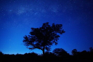 starry night sky, Parque Copo