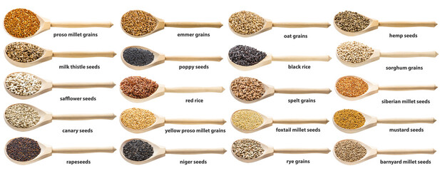 set of seeds and grains with names in wood spoons