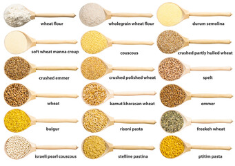 set of spoon with various wheat grains with names