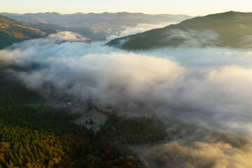 Beautiful landscape with thick mist and forest in mountains. Drone photography
