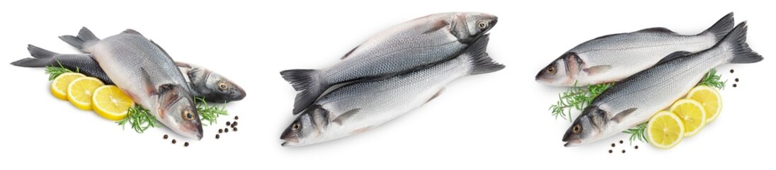 Sea bass fich isolated on white background. Top view. Flat lay. Set or collection