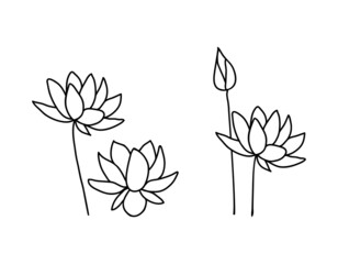 Seth, lotus flowers. Vector illustration in doodle style. Drawn with an outline on a white background.