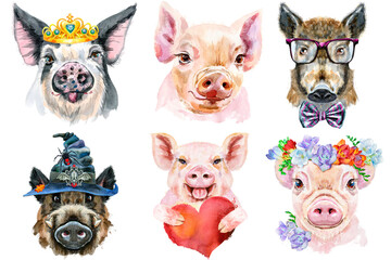 Fototapeta premium Set of pig portraits. Animal watercolor illustration on white background