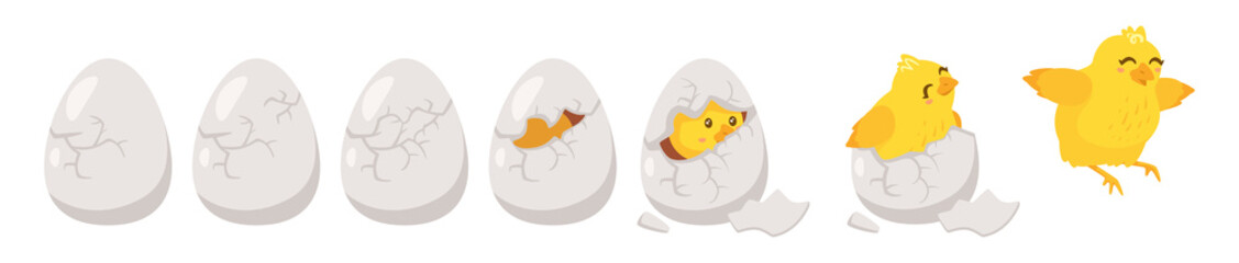 Hatching process. Vector illustration isolated on white