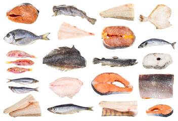 set of various iced fishes and steaks isolated