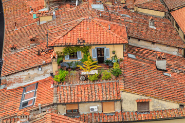roofs of old town
