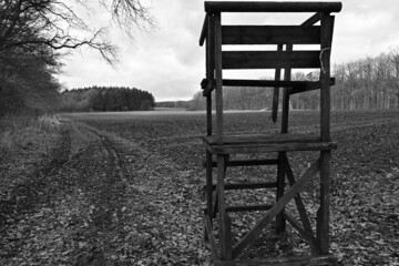 High seat of a hunter in black and white with field in winter, high seat hunter stand