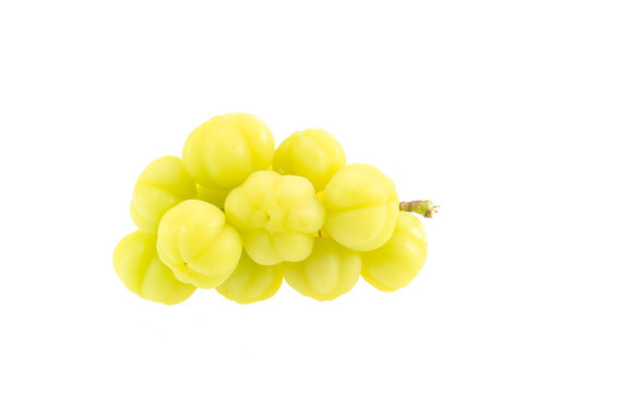 gooseberry fruit