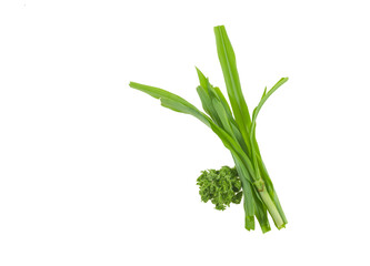 small stevia