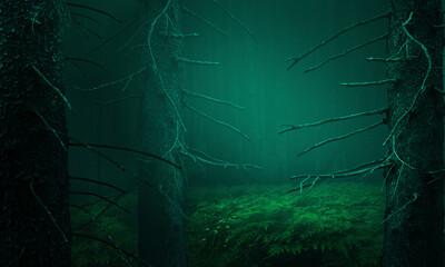 Misty forest landscape. Dark woods with old trees and branches silhouettes on hazy background