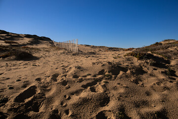 Dunes at Monterey  California taken during the day
