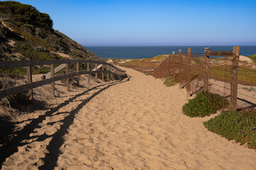 Dunes at Monterey  California taken during the day
