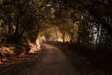 Itamonte, Minas Gerais, Brazil: road connecting the cities of Itamonte and Itanhandu is part of the royal road