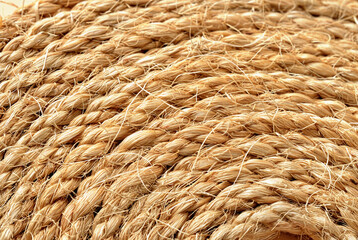 Rope braided from sisal fibers