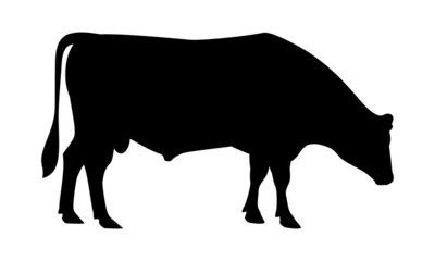 Bull Jersey Silhouette - The Best Milk Cattle Breeds. Farm animals. Vector Illustration