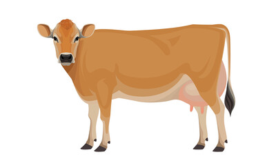 Cow Jersey - The Best Milk Cattle Breeds. Farm animals. Vector Illustration.