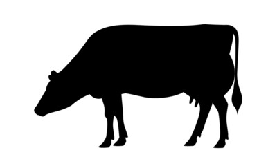 Cow Jersey Silhouette - The Best Milk Cattle Breeds. Farm animals. Vector Illustration.