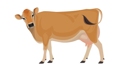 Cow Jersey - The Best Milk Cattle Breeds. Farm animals. Vector Illustration.
